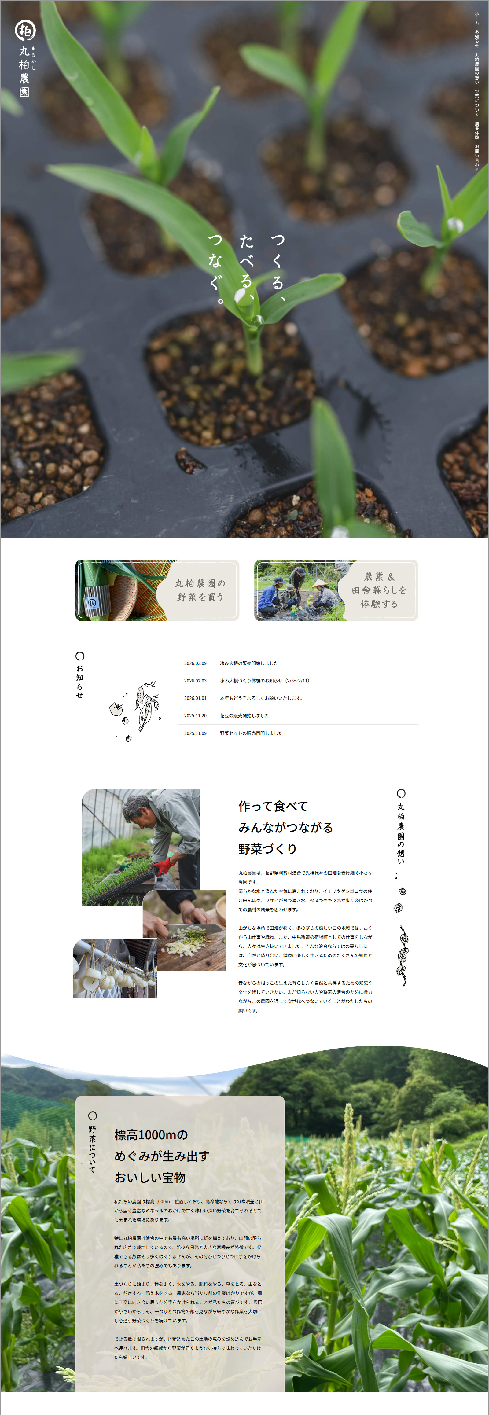 制作実績 - 丸柏農園 ホームぺージ_01