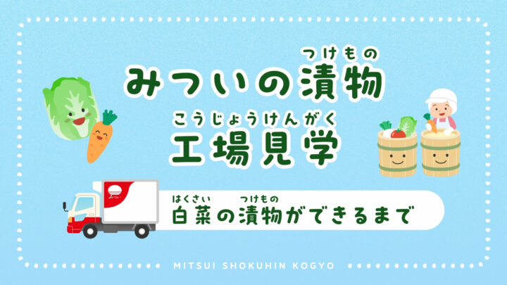 白菜の漬物ができるまで