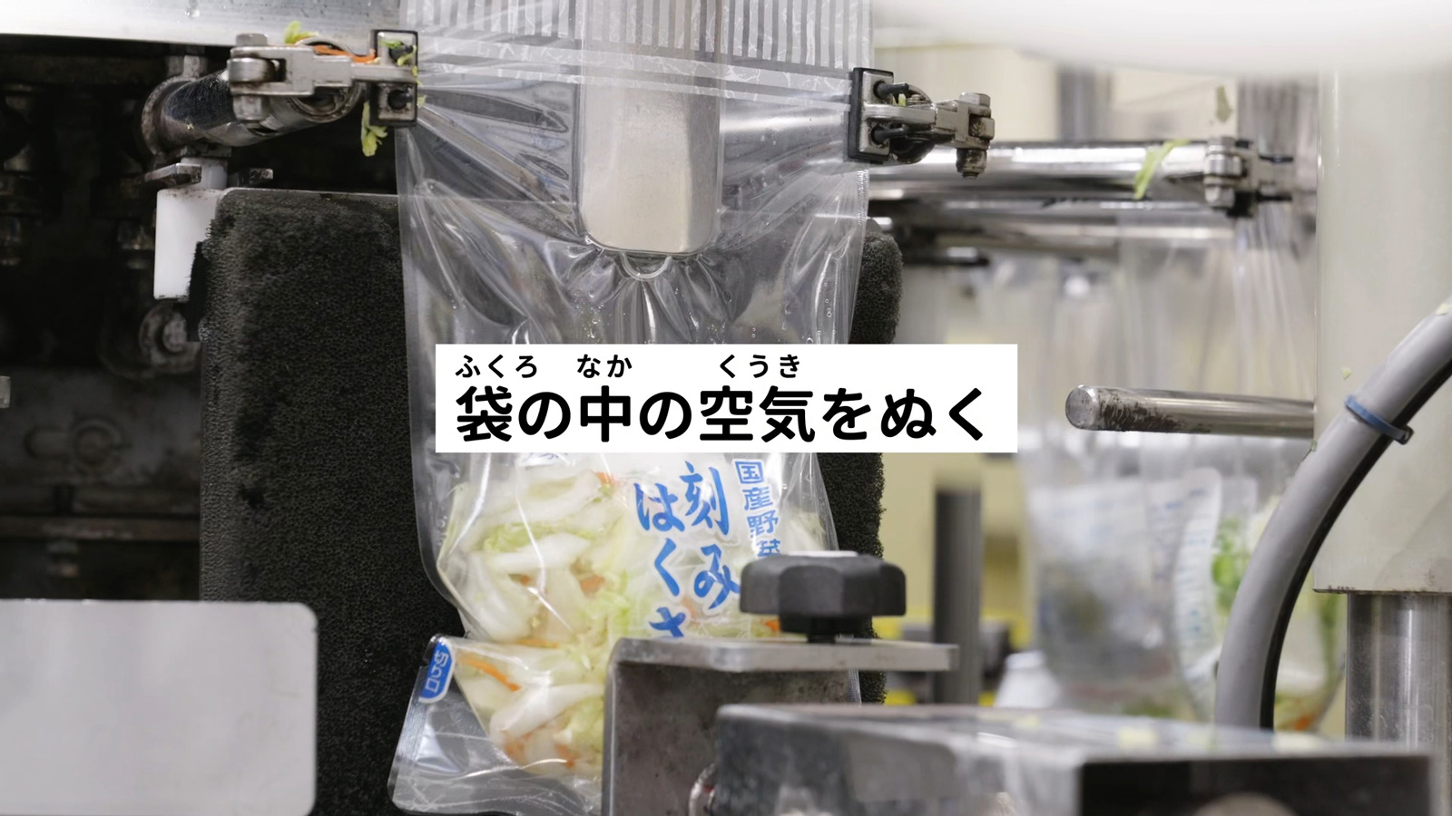 三井食品工業 工場見学